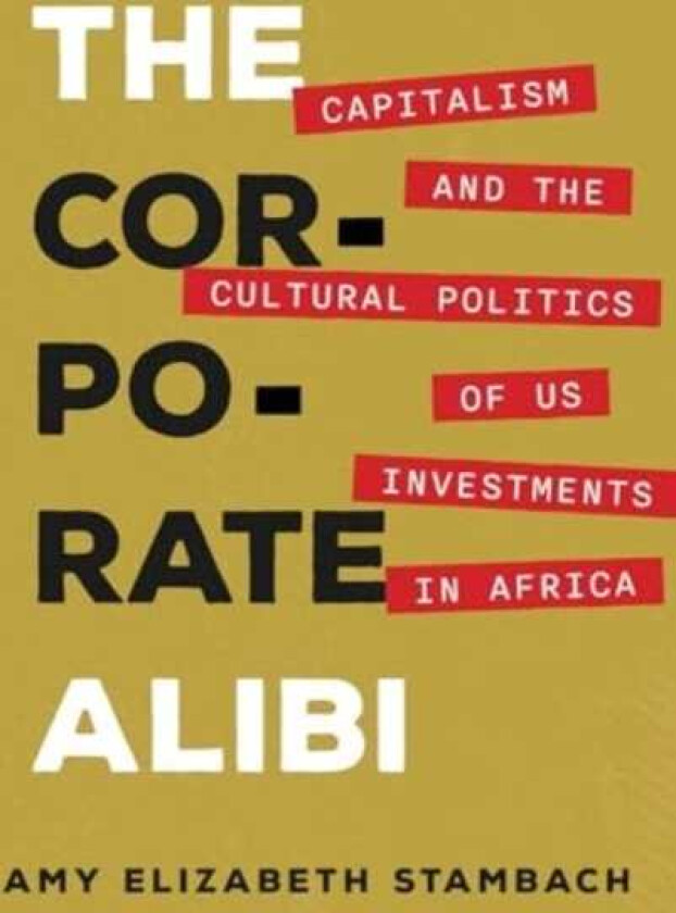 The Corporate Alibi Capitalism and the Cultural Politics of US Investments in Africa
