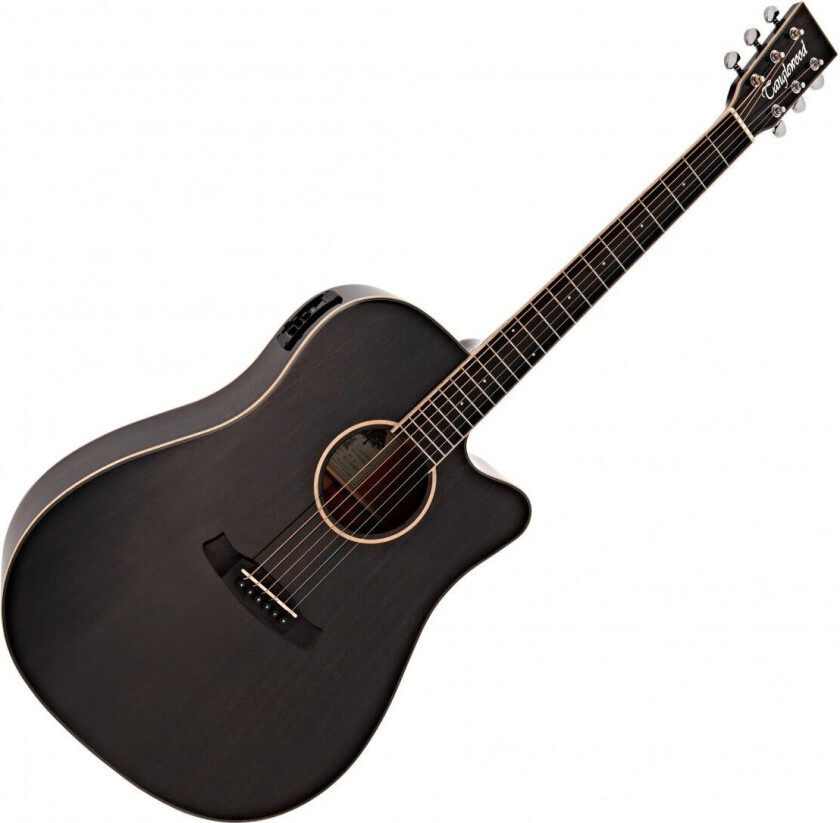 TW5 E BS Winterleaf Electro Acoustic Shadow Black