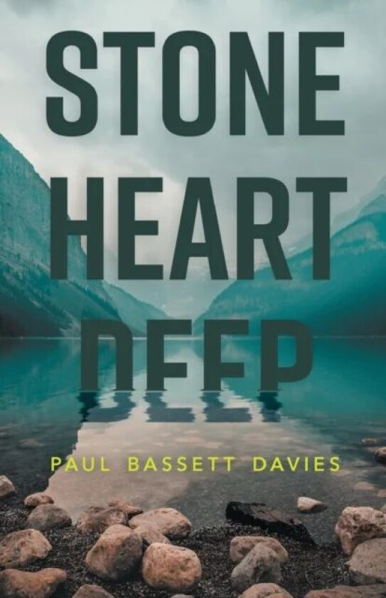 Stone Heart Deep av Paul Bassett Davies