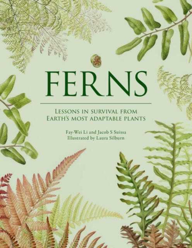 Ferns Lessons in Survival From Earth’s Most Adaptable Plants