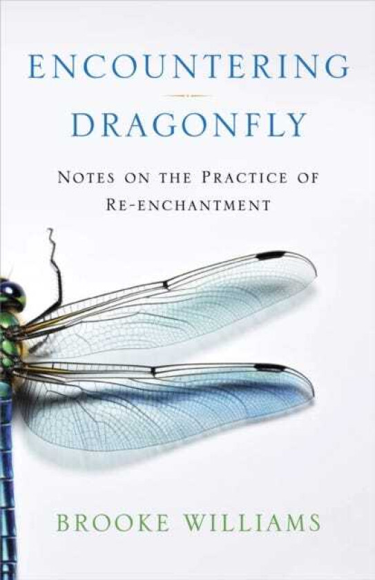 Encountering Dragonfly Notes on the Reenchantment of the World