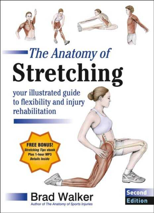 The Anatomy of Stretching Your Illustrated Guide to Flexibility and Injury Rehabilitation