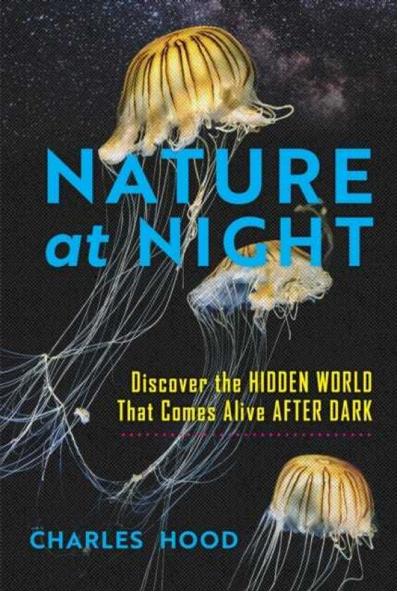 Nature at Night Discover the Hidden World That Comes Alive after Dark