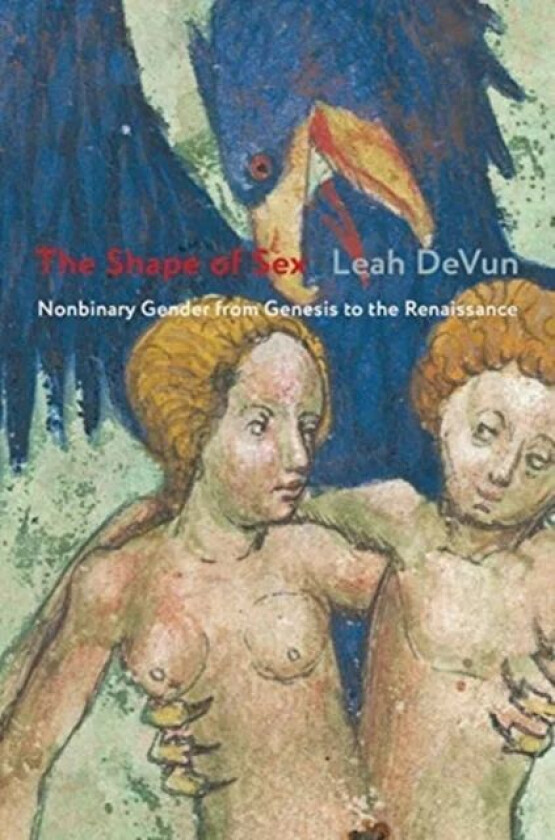 The Shape of Sex av Leah (Assistant Professor Rutgers Universi DeVun