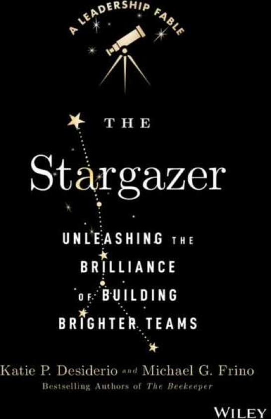 The Stargazer Unleashing the Brilliance of Building Brighter Teams