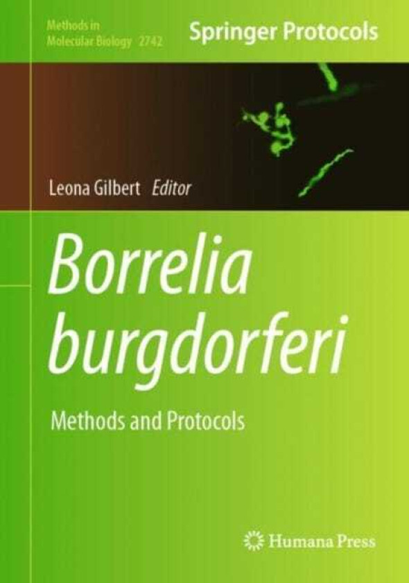 Borrelia burgdorferi Methods and Protocols