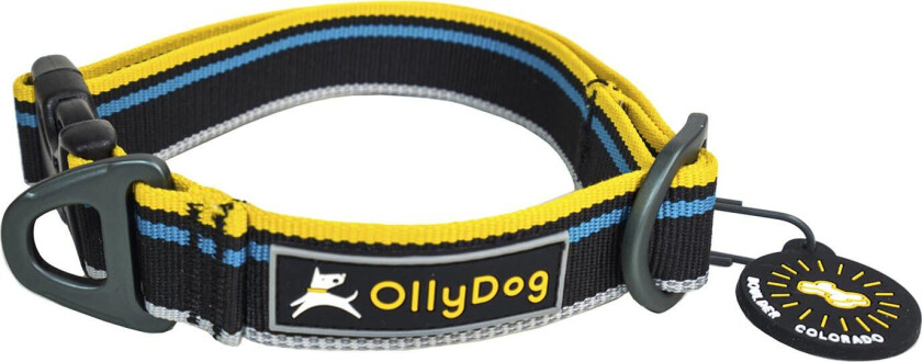 Urban Trail Reflective Collar S, Anthracite