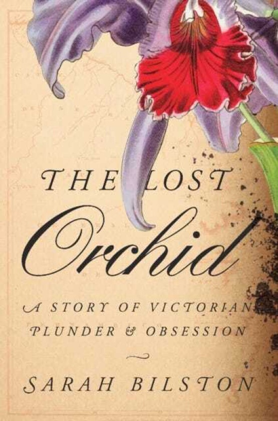The Lost Orchid A Story of Victorian Plunder and Obsession