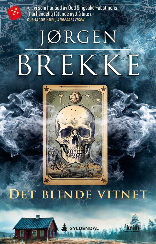 Det blinde vitnet