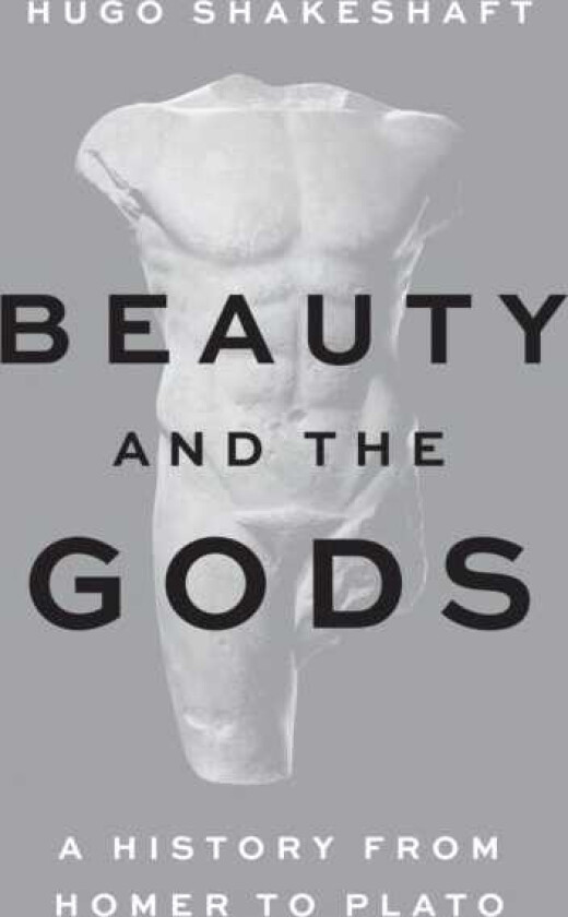 Beauty and the Gods A History from Homer to Plato