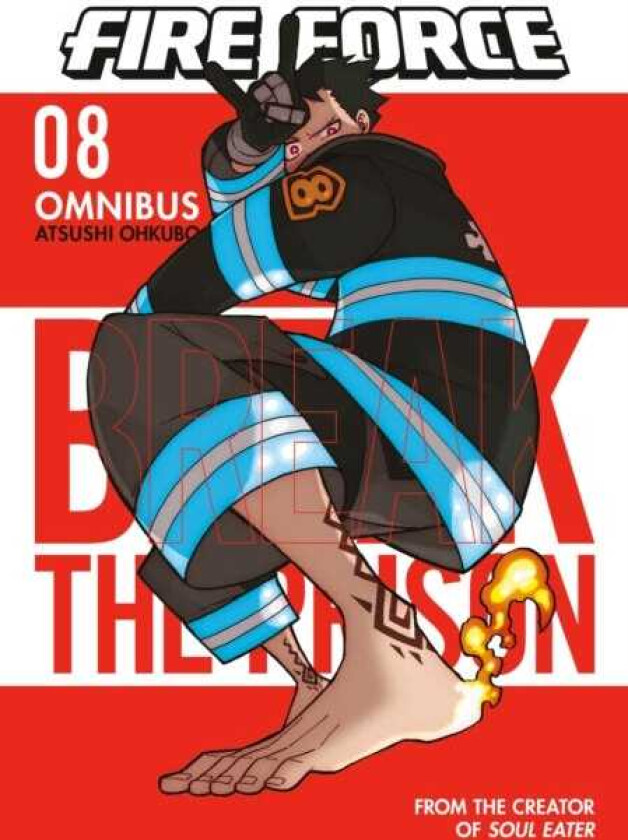 Fire Force Omnibus 8 (Vol. 2224)