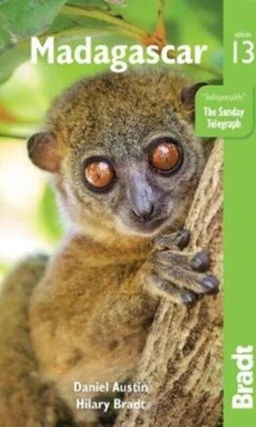 Madagascar av Hilary Bradt, Daniel Austin