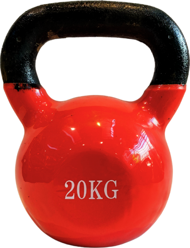 Kettlebell 20 KG - Vinyl