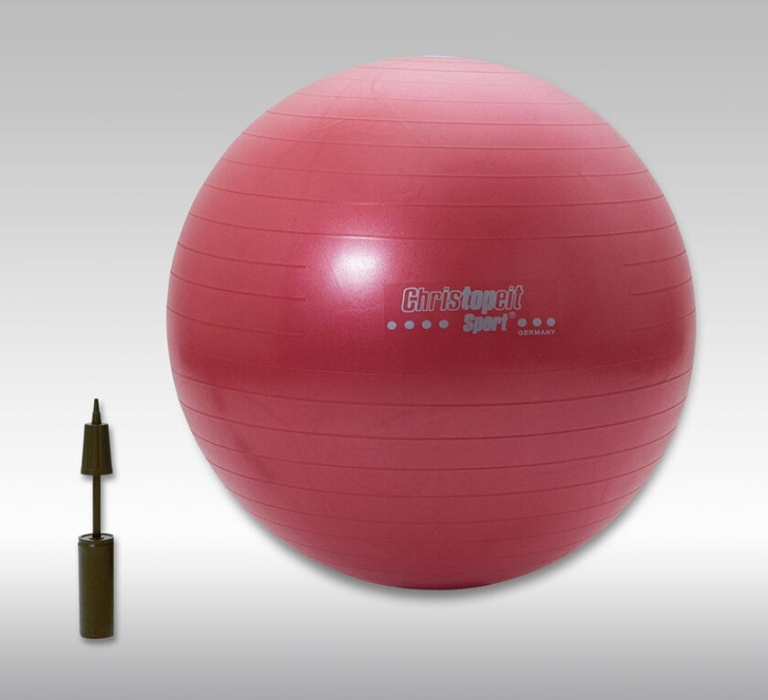 Top Sport Treningsball 65 cm