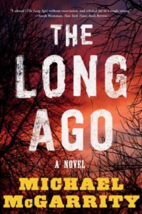 The Long Ago A Novel