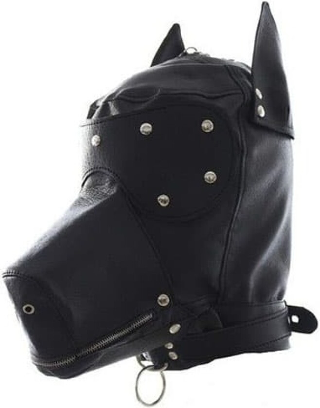 SM Doggy Hood Black