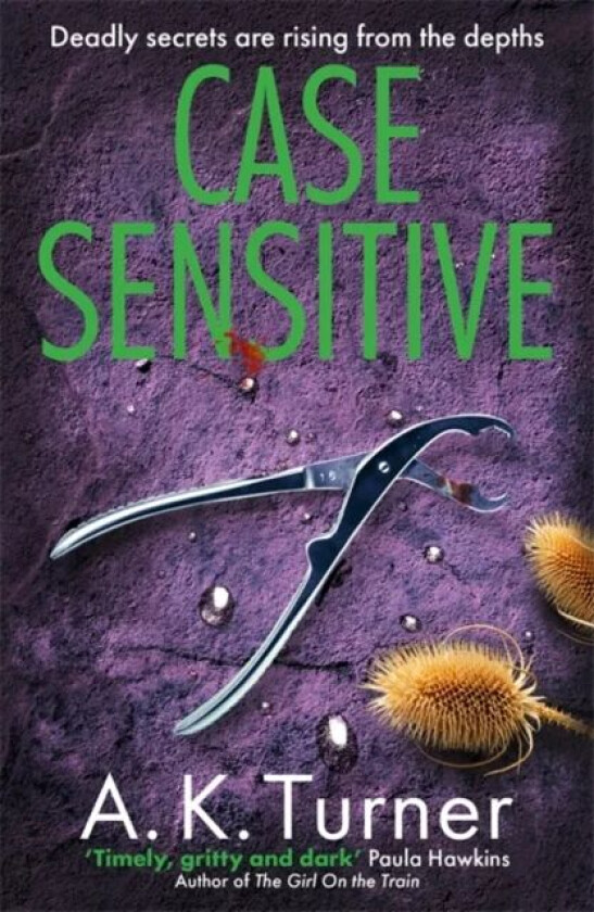 Case Sensitive av A. K. Turner