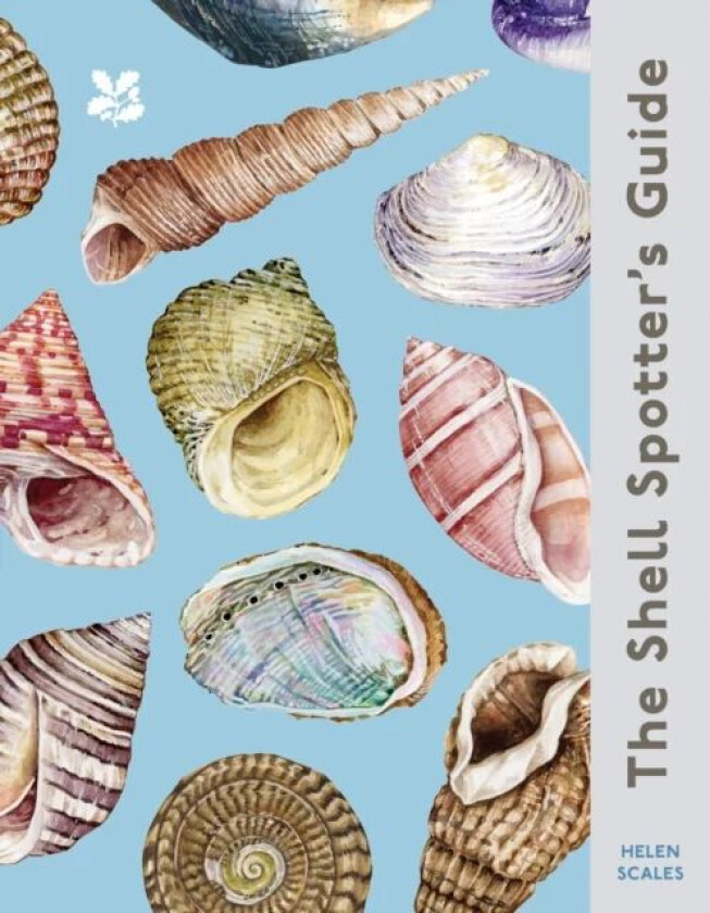 The Shell-spotter¿s Guide av Dr Helen Scales