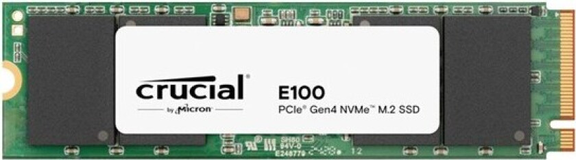 E100 - SSD - 480 GB - PCIe 4.0 x4 (NVMe)