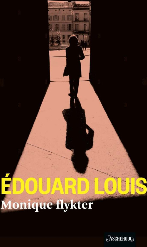 Monique flykter av Édouard Louis