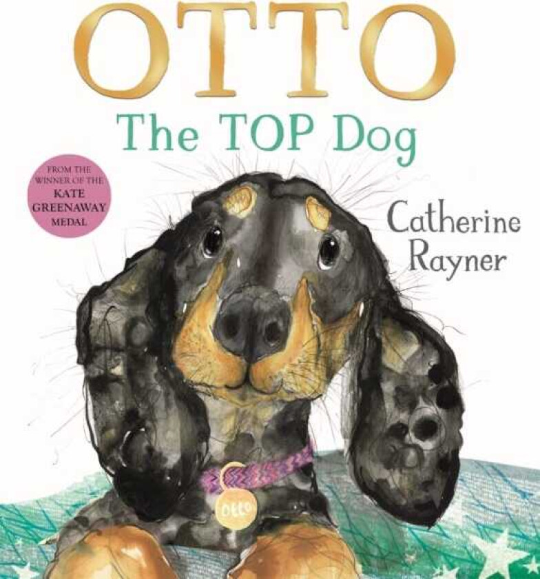Otto The Top Dog