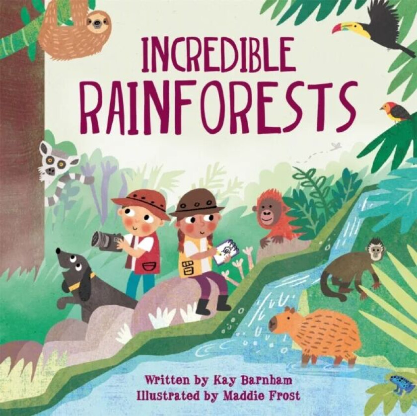 Look and Wonder: Incredible Rainforests av Kay Barnham