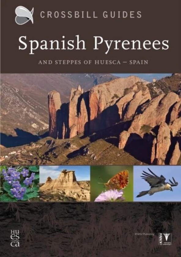 Spanish Pyrenees av Dirk Hilbers, Kees Woutersen