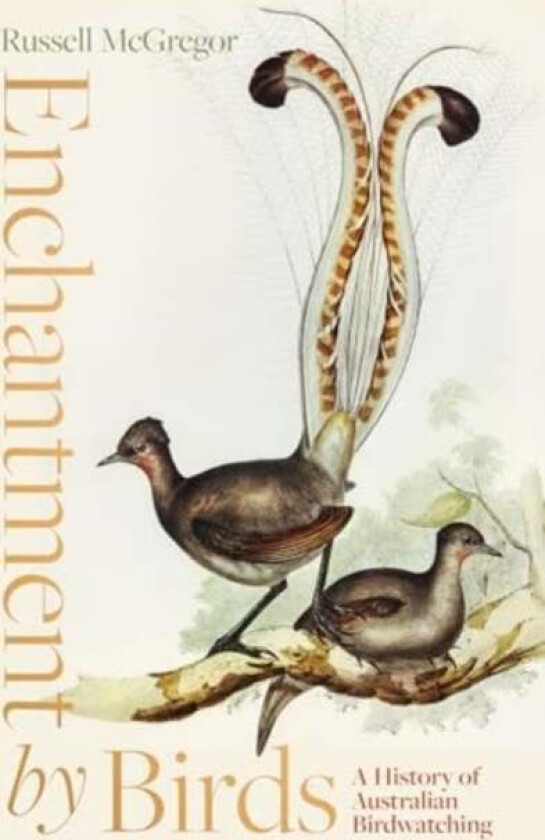 Enchantment by Birds av Russell McGregor