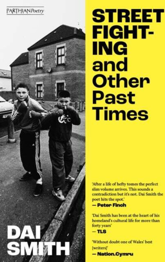 Street Fighting and Other Past Times av Dai Smith