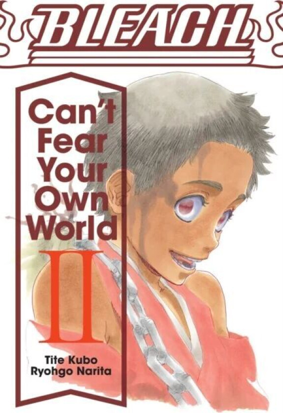 Bleach: Can&#039;t Fear Your Own World, Vol. 2 av Ryohgo Narita