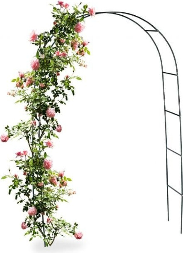 Rosebue i metall 240 cm