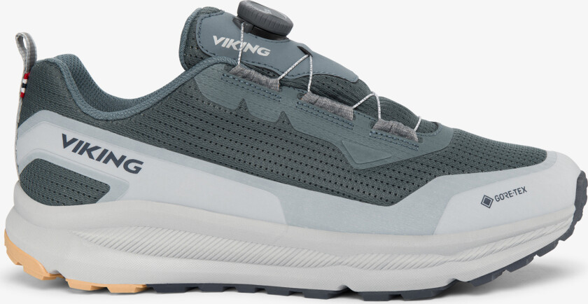 Motion Low GTX BOA M Mens Grey Boa