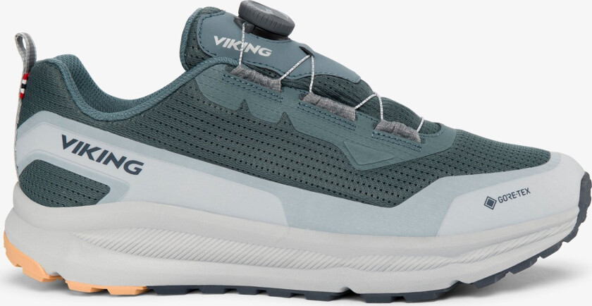 Motion Low GTX BOA M Mens Grey Boa