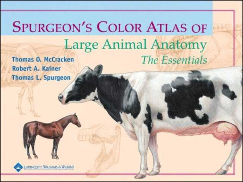 Spurgeon's Color Atlas of Large Animal Anatomy The Essentials