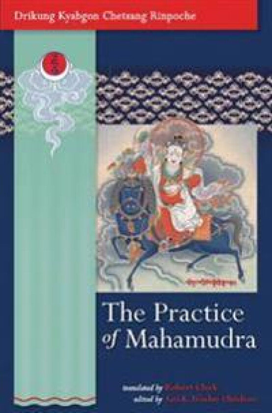 The Practice Of Mahamudra