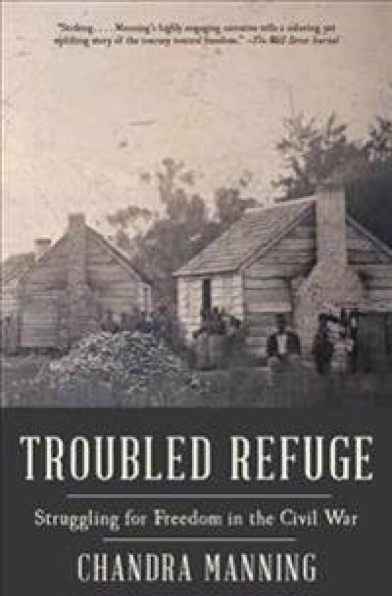 Troubled Refuge: Struggling for Freedom in the Civil War