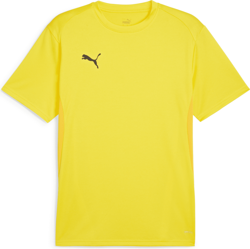 teamGOAL Jersey, fotballtrøye, herre Yellow-Black