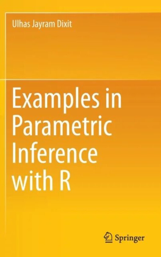 Examples in Parametric Inference with R av Ulhas Jayram Dixit