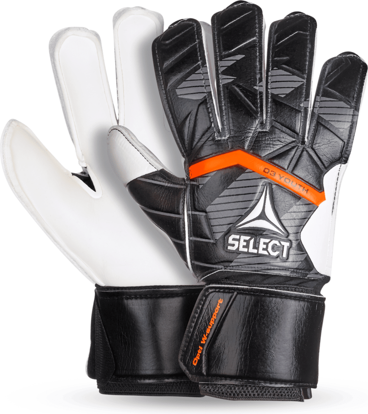 Select 03 Youth V25, keeperhansker, junior BLACK/WHITE