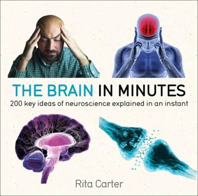 The Brain in Minutes av Rita Carter