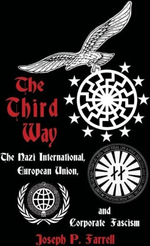 The Thrid Way av Joseph P. (Joseph P. Farrell) Farrell