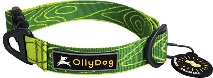 Flagstaff Collar S, Sage Bark