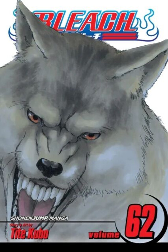 Bleach, Vol. 62 av Tite Kubo