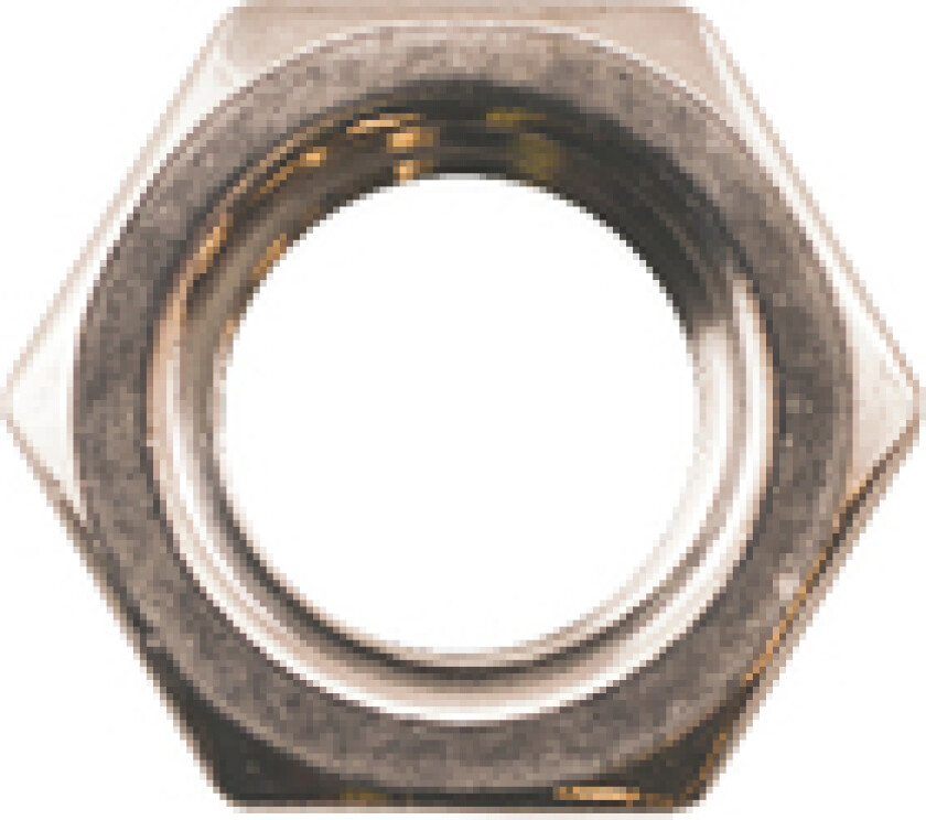 Sekskantmutter a4-70 din934 m10a100