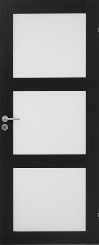 Dørblad unique gw03l 90x210 sort eik glassdør