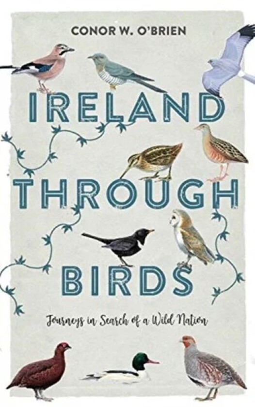 Ireland Through Birds av Conor O'Brien