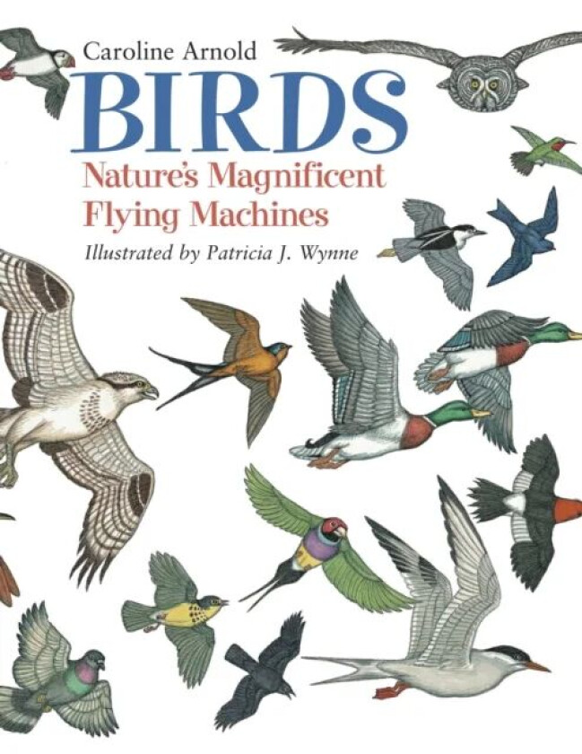 Birds av Caroline Arnold