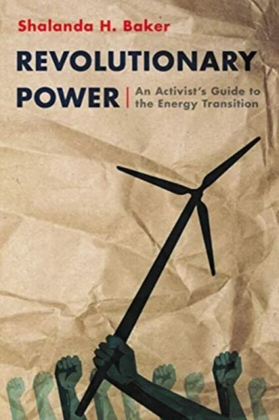 Revolutionary Power av Shalanda Baker