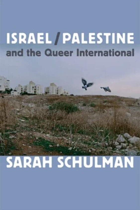 Israel/Palestine and the Queer International av Sarah Schulman