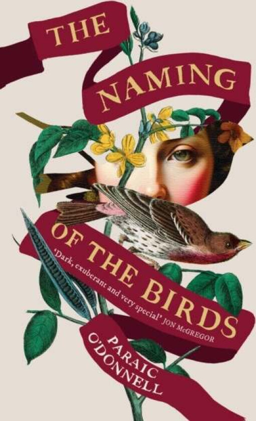 The Naming of the Birds av Paraic O'Donnell
